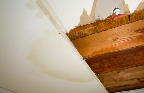 How Professional Leak Detection Protects Your Home From Hidden Damage